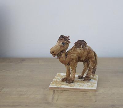 Silly Camel - Cake by The Garden Baker
