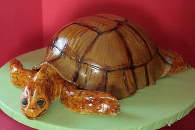 Turtle cake - Cake by Sweet Life of Cakes