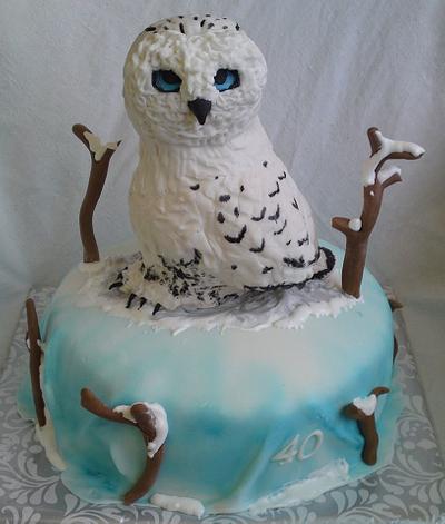 Snowy owl - Cake by Majjja19
