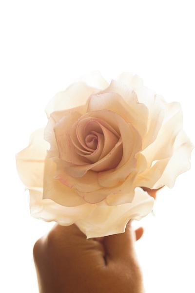 Paper thin Gumpaste Rose - Cake by Zoeys Bakehouse