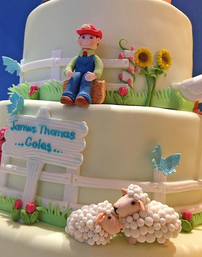 Down on the farm - Cake by Cakes by Christine