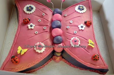 Butterfly Cake - Cake by Maggies Cakes Bangor 