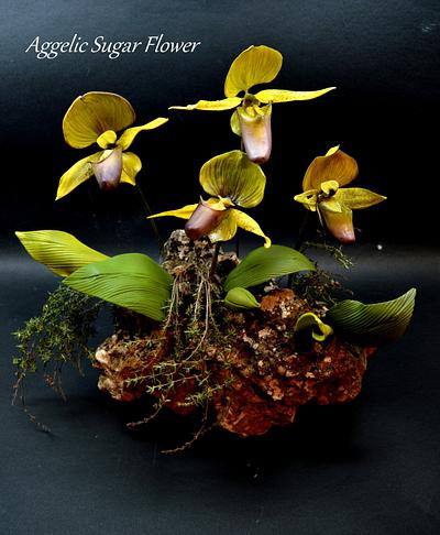 Lady's Slipper Orchid Sugar Flower - Cake by Aggeliki Manta