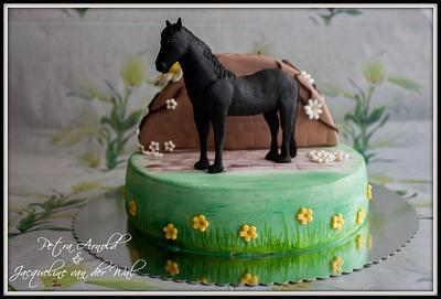 A Horse is a horse offcourse .... made by Jacqueline van der Wal & Petra Arnold - Cake by Jacqueline