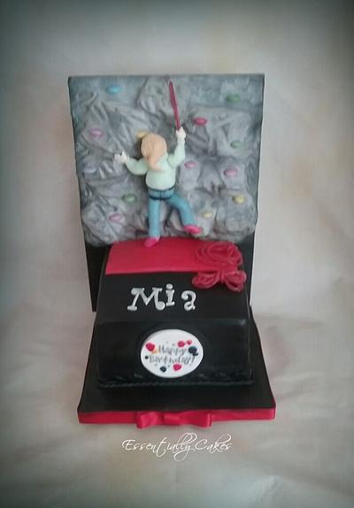 Climbing Wall  - Cake by Essentially Cakes