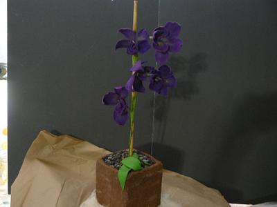 wicker basket plant ! - Cake by gail