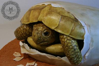 Hatching Turtle - Cake by Jennifer Holst • Sugar, Cake & Chocolate •