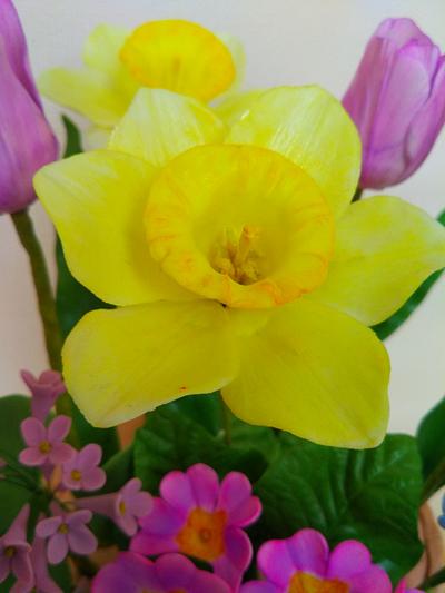 Daffodil gumpaste - Cake by Katya