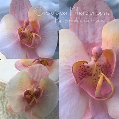 Phalaenopsis orchid - Cake by Griselda de Pedro