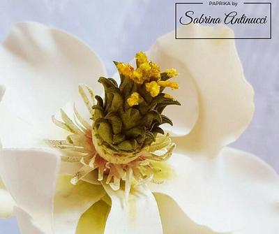 Magnolia Sugar flower - Cake by Sabrina Antinucci