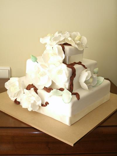 Magnolia - Cake by Cake Your Dream