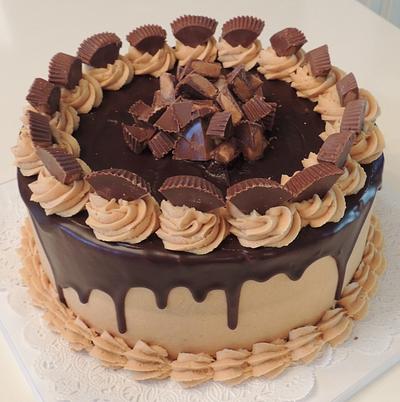 chocolate peanut butter fudge cake - Cake by Barb's Baking Blog