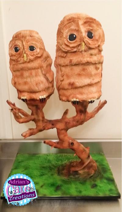 Owls - Cake by realdealuk