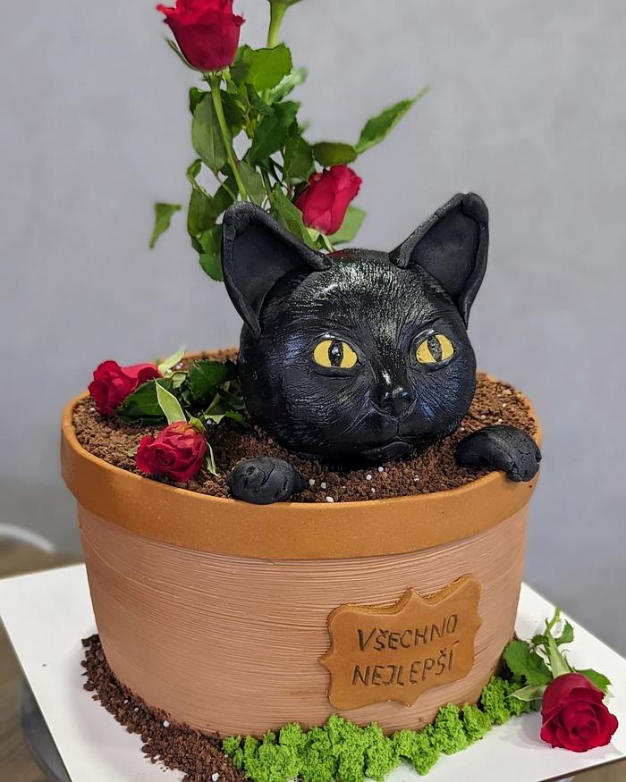 Birthday cake with black cat