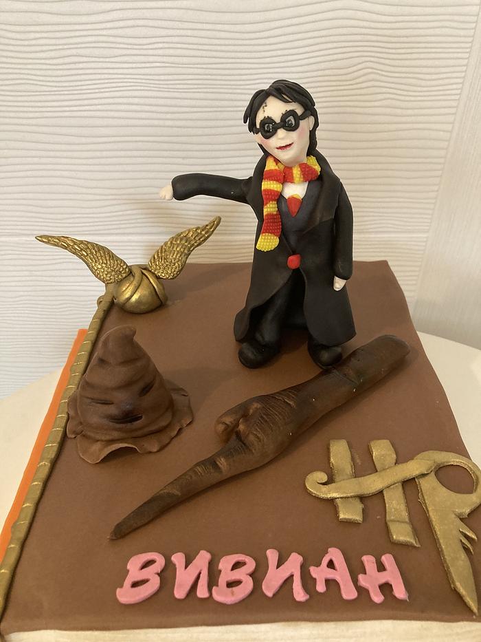 Harry Potter cake