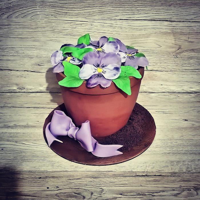 Cake pot with violets