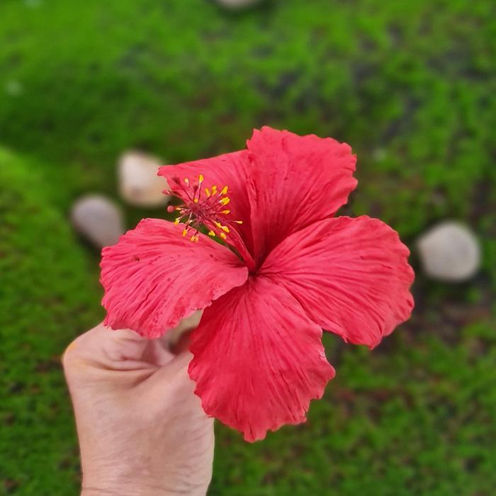 Hibiscus Sugar Flower 