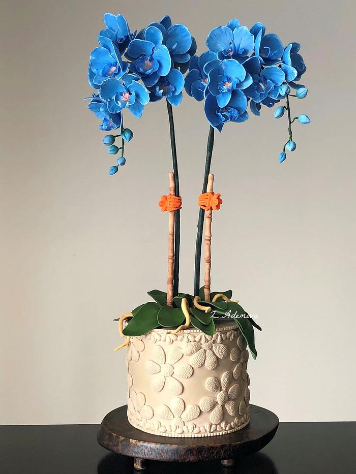 Orchids birthday cake