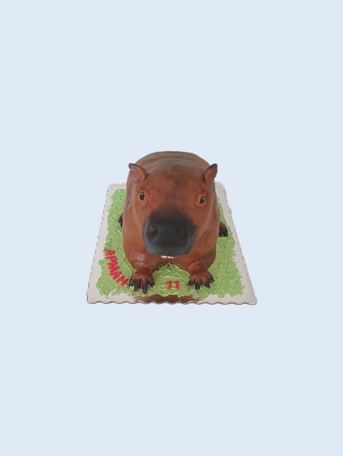 Capibara cake 