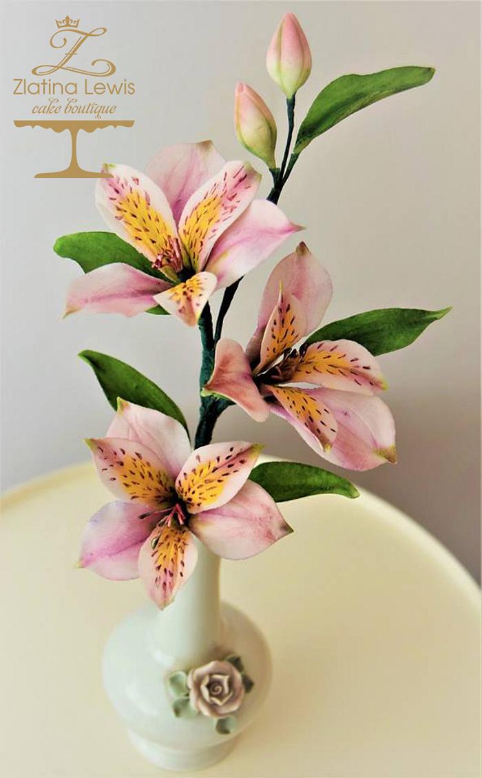 Alstromeria - Peruvian lily  