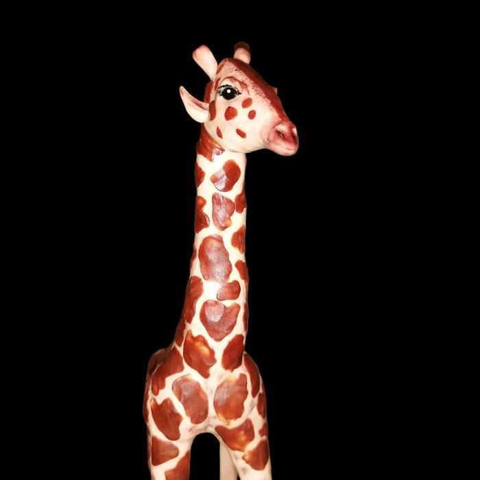 Girafă 