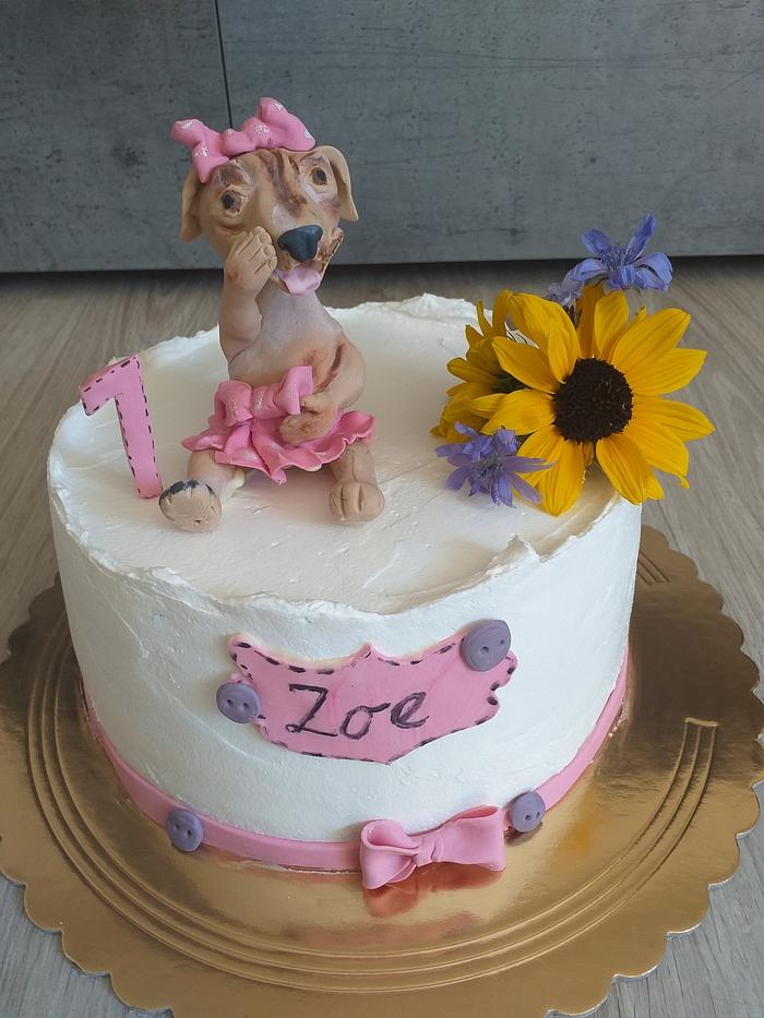 Dog cake