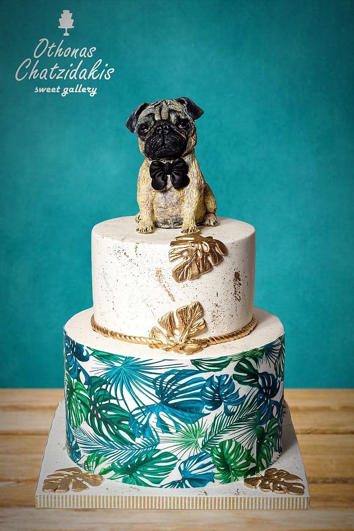 Pug dog cake 