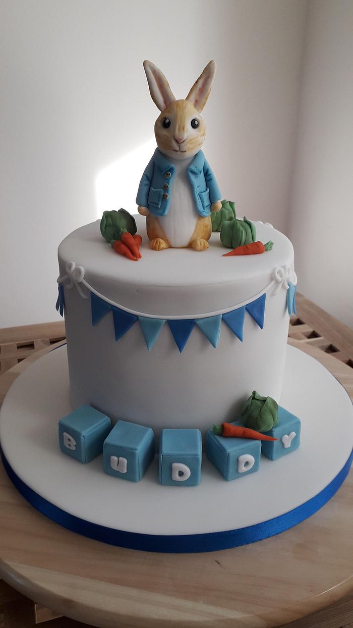Peter Rabbit cake