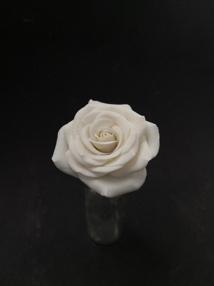 Juste one white rose