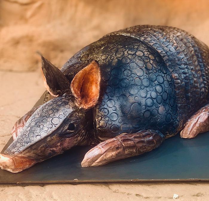 Armadillo Groom’s Cake