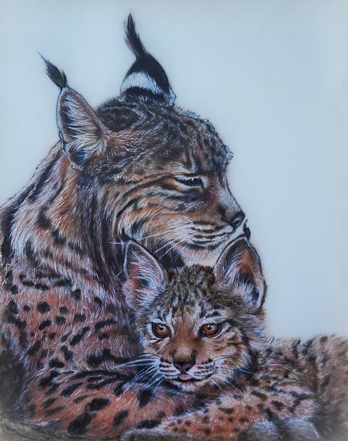 Iberian Lynx Mama & Baby 