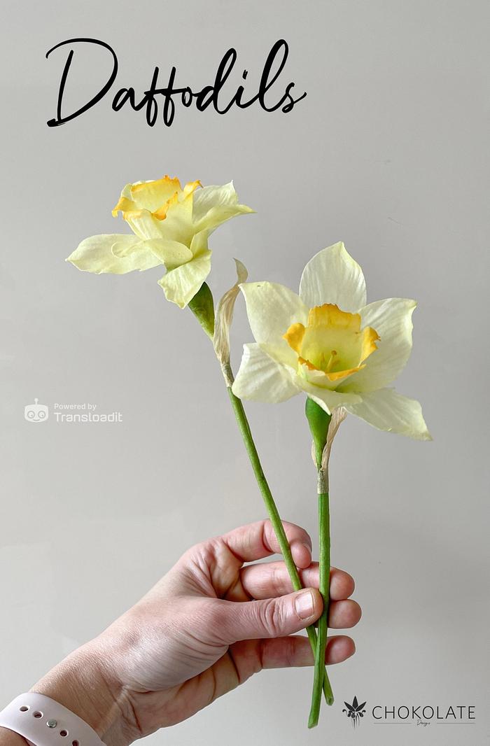 Edible Wafer Paper Flowers | DAFFODILS