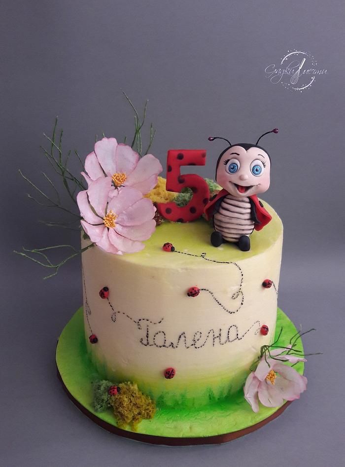 Ladybug cake 