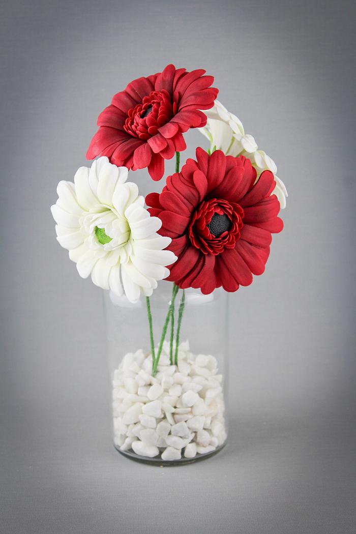 Gerbera Daisies