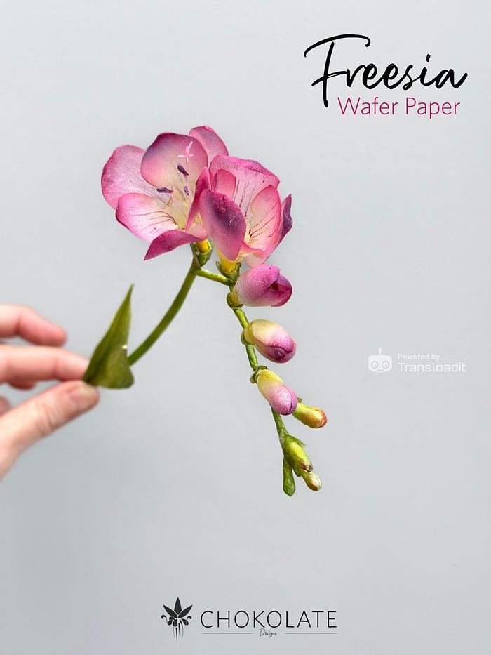 Edible Wafer Paper Flowers Freesia