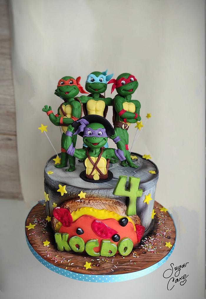 Teenage Mutant Turtles Ninja