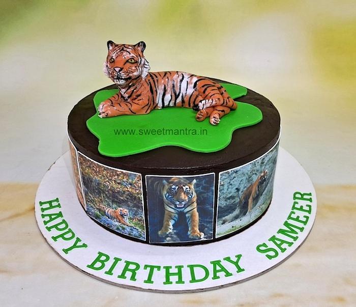 Cake for wild life photographer