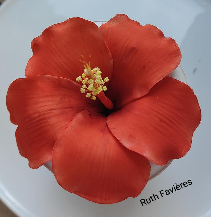 Just an hibiscus ! 