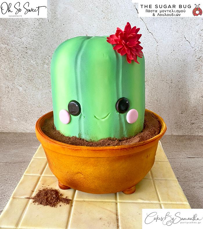 Cactus  in a Pot Cake