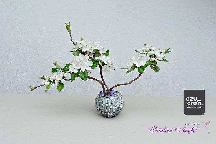 Japan International Collaboration - Ikebana Style Apple blossoms 