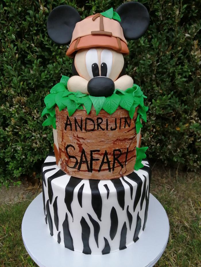 Mickey Safari cake