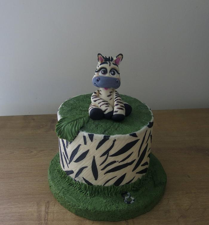 Little Zebra Cake