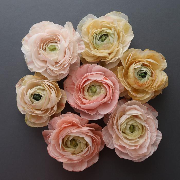 Learn how to create Wafer Paper Ranunculus