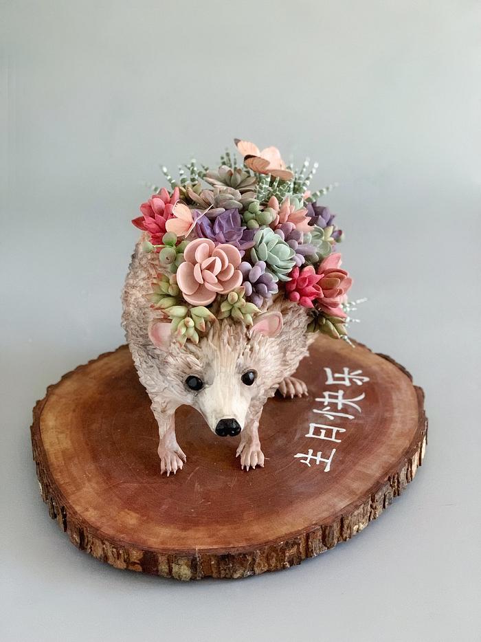 Hedgehog with succulents 