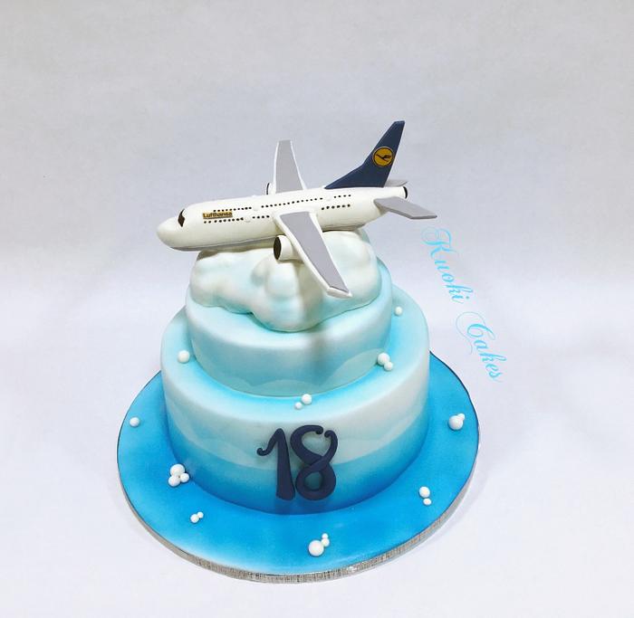 Jet Airplane Cale | Jet airplane birthday cake. Cake is hand… | Flickr
