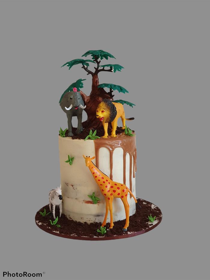 Wild animals cake 