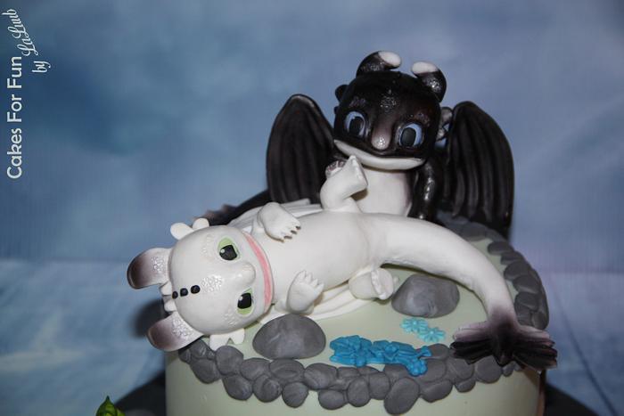 How To Train You're Dragon Half Dark Fury Half Light Fury Cake and  Cupcakes! | Birthday cake girls, Cupcake cakes, Birthday cake