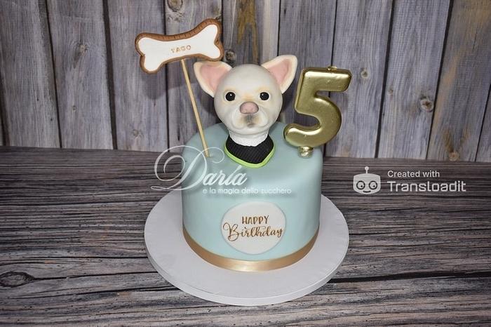 Chihuahua cake