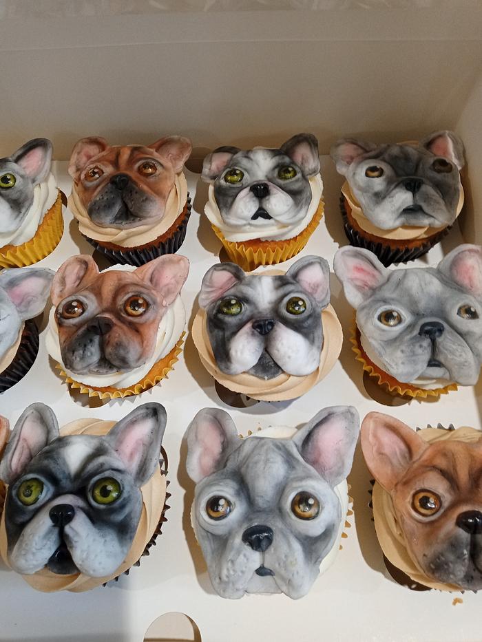 Some more dog cupcakes