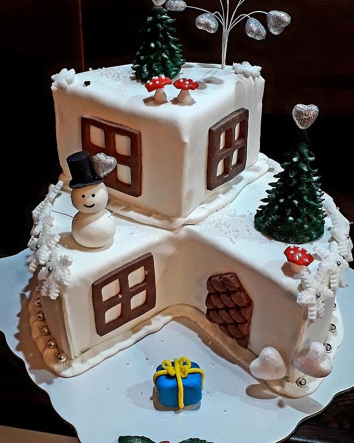 Winter house cake
